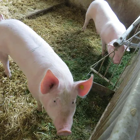 Apartmán Miglurahof Adnet